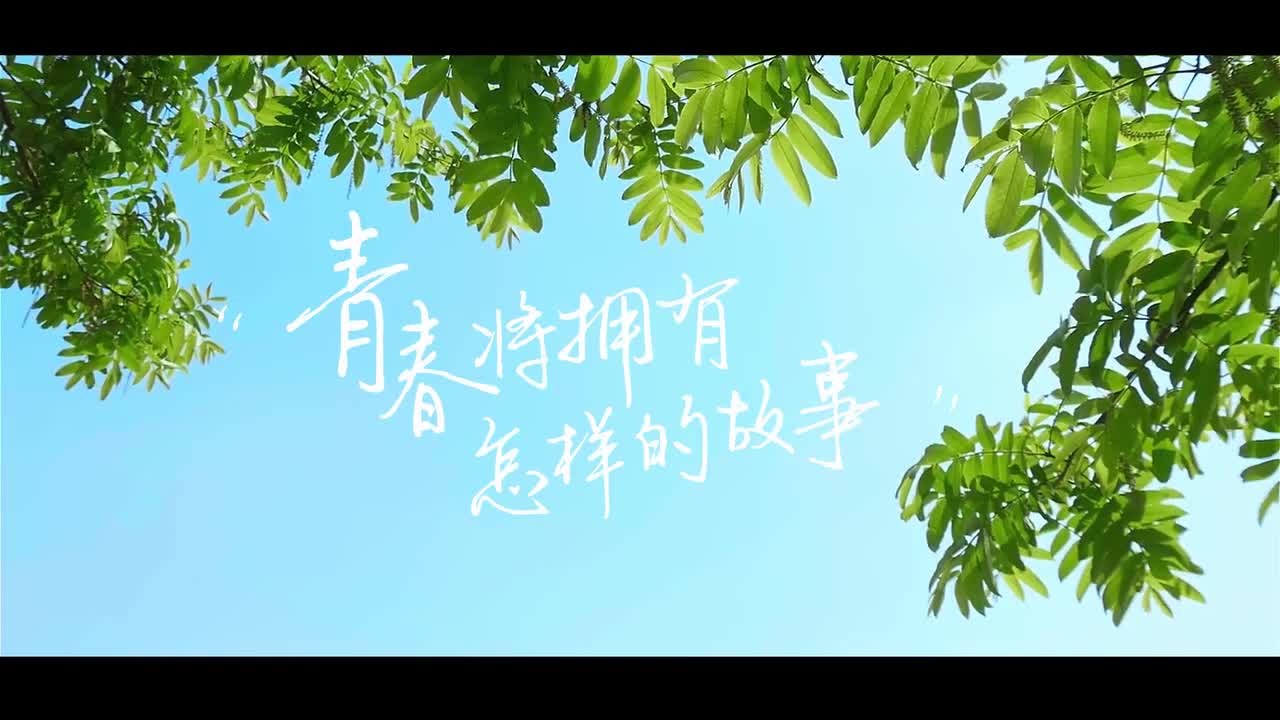 【大学图鉴】广东高校合集